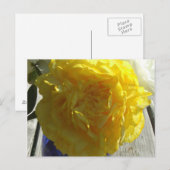 Gele volken briefkaart (Voorkant / Achterkant)