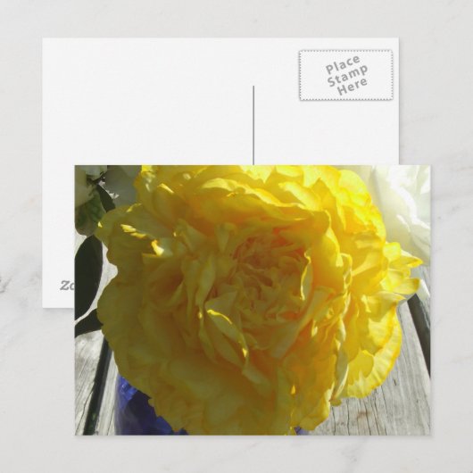 Gele volken briefkaart (Voorkant / Achterkant)