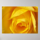 Gele vouwen poster (Voorkant)