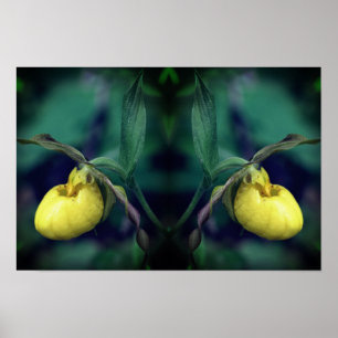 Gele Vrouwenschoen Orchidee Bloem Natuur Kunst Poster