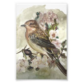 Gele Wagtail Garden vogel aquarel print Foto Afdruk (Voorkant)