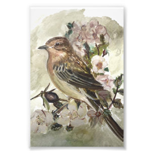 Gele Wagtail Garden vogel aquarel print Foto Afdruk