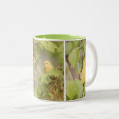 Gele Warbler Coffee-Mok Tweekleurige Koffiemok (Voorkant rechts)