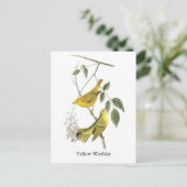 Gele Warbler, John Audubon Briefkaart (Staand voorkant)