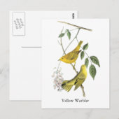 Gele Warbler, John Audubon Briefkaart (Voorkant / Achterkant)