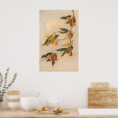 Gele Warbler - Joseph B. Kidd Fine Art Poster (Keuken)