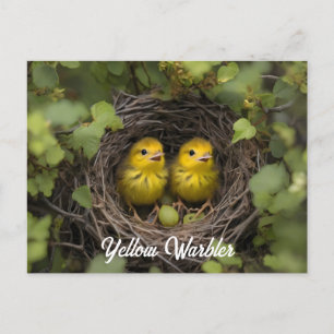 Gele Warbler kuikens in nest Briefkaart