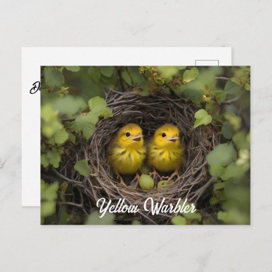 Gele Warbler kuikens in nest Briefkaart (Voorkant / Achterkant)
