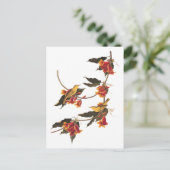 Gele Warbler-zongvogels op bloeiende kruisbessen Briefkaart (Staand voorkant)