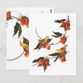 Gele Warbler-zongvogels op bloeiende kruisbessen Briefkaart (Voorkant / Achterkant)