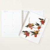 Gele Warbler-zongvogels op bloeiende kruisbessen Planner (Display)