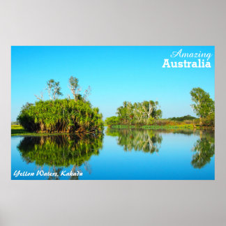 Gele wateren, poster Kakadu