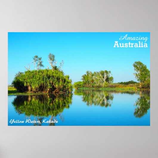 Gele wateren, poster Kakadu (Voorkant)