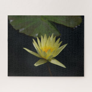 Gele Waterlelie Legpuzzel