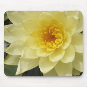 Gele Waterlelie Mousepad Muismat