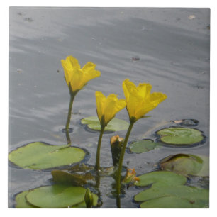 Gele Waterlelies Keramiek Tegels Tegeltje