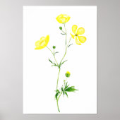 gele waterverf boterbloem poster (Voorkant)