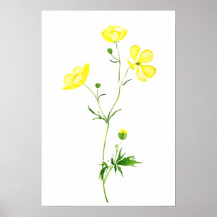 gele waterverf boterbloem poster