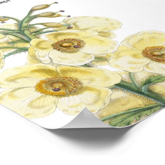 Gele Waterverf Floral Wedding Seating Chart Poster (Hoek)