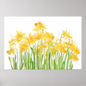 gele waterverf van het daffodilveld poster (Voorkant)