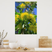 Gele Wattleboom Poster (Keuken)