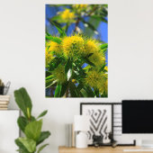 Gele Wattleboom Poster (Thuiskantoor)