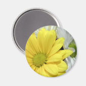 Gele White Daisy Daisies Flower Flowers Foto Magneet (Voorkant / Achterkant)