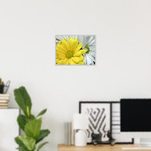 Gele White Daisy Daisies Flower Flowers Foto Poster (Thuiskantoor)