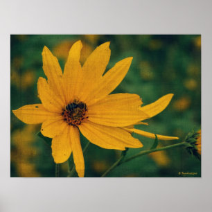 Gele wilde bloem en bijen poster