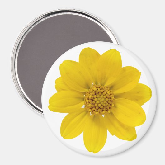 Gele wilde bloem magneet (Voorkant / Achterkant)
