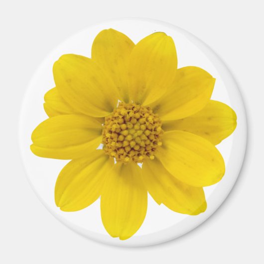 Gele wilde bloem magneet (Voorkant)