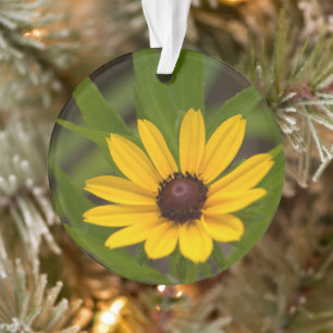 Gele wilde bloem ornament