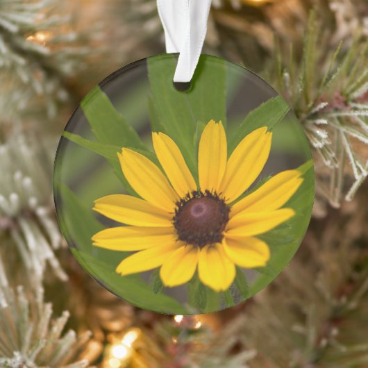 Gele wilde bloem ornament (Boom)
