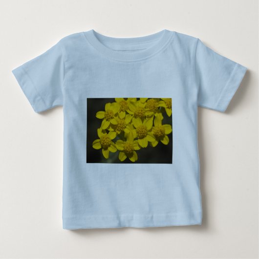 Gele wilde bloemen (Voorkant)