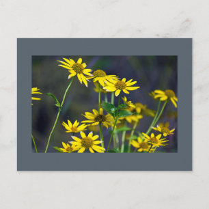 Gele wilde bloemen ansichtkaart briefkaart