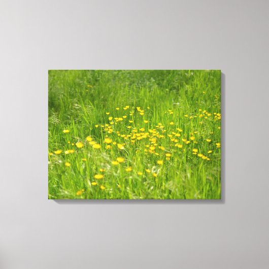 Gele wilde bloemen botanische fotografie canvas afdruk (Voorkant)