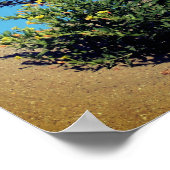 Gele wilde bloemen in de zand poster (Hoek)