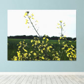 Gele wilde bloemen in open veld canvas afdruk (Insitu (Houten vloer))