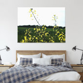Gele wilde bloemen in open veld canvas afdruk (Insitu (Slaapkamer))