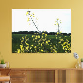 Gele wilde bloemen in open veld canvas afdruk (Insitu (Woonkamer))