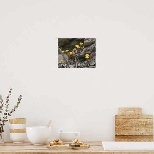 Gele wilde bloemen in rotsolie poster (Keuken)