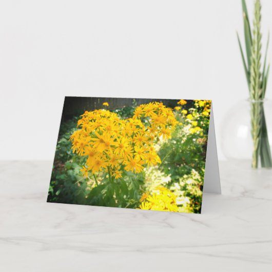 Gele wilde bloemen kaart (Voorkant)