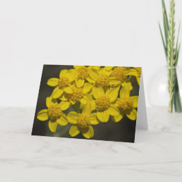 Gele wilde bloemen kaart