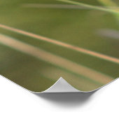 Gele wilde bloemen met Butterfly Poster (Hoek)