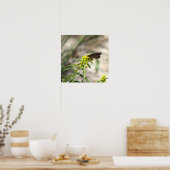 Gele wilde bloemen met Butterfly Poster (Keuken)