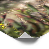 Gele wilde bloemen met Butterfly Poster (Hoek)