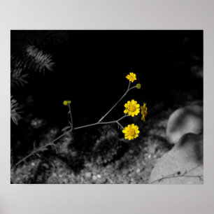 Gele wilde bloemen onder een boom Kleur 16x20 Poster