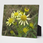 gele wilde bloemen Plaque Fotoplaat (Zijkant)