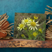 gele wilde bloemen Plaque Fotoplaat (Zijkant)