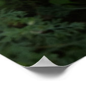 gele wilde bloemen poster (Hoek)